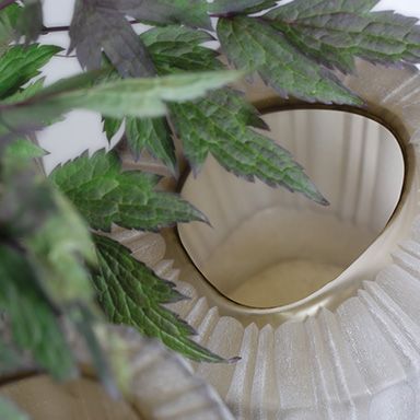 Vaas Malibu S | Smokegrey - NU PUUR & GROEN