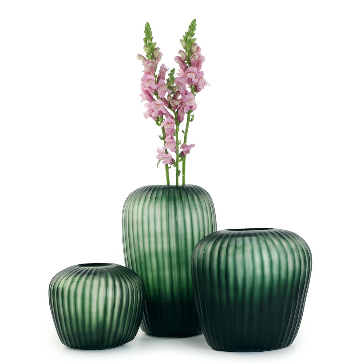 Vaas Melrose M | Light Steelgrey/Black Steelgrey - NU PUUR & GROEN