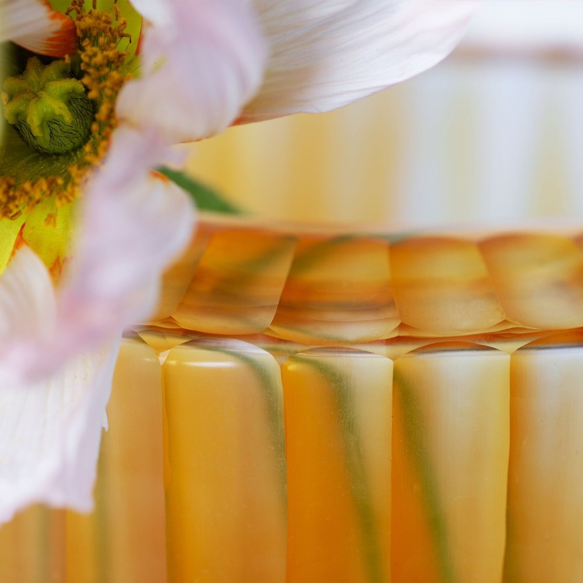 Vaas Omar L | Clear/Gold - NU PUUR & GROEN