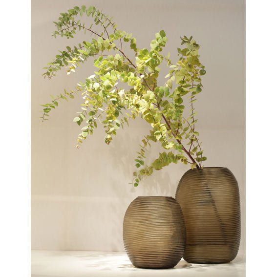 Vaas Patara Tall | Clear/Smokegrey - NU PUUR & GROEN