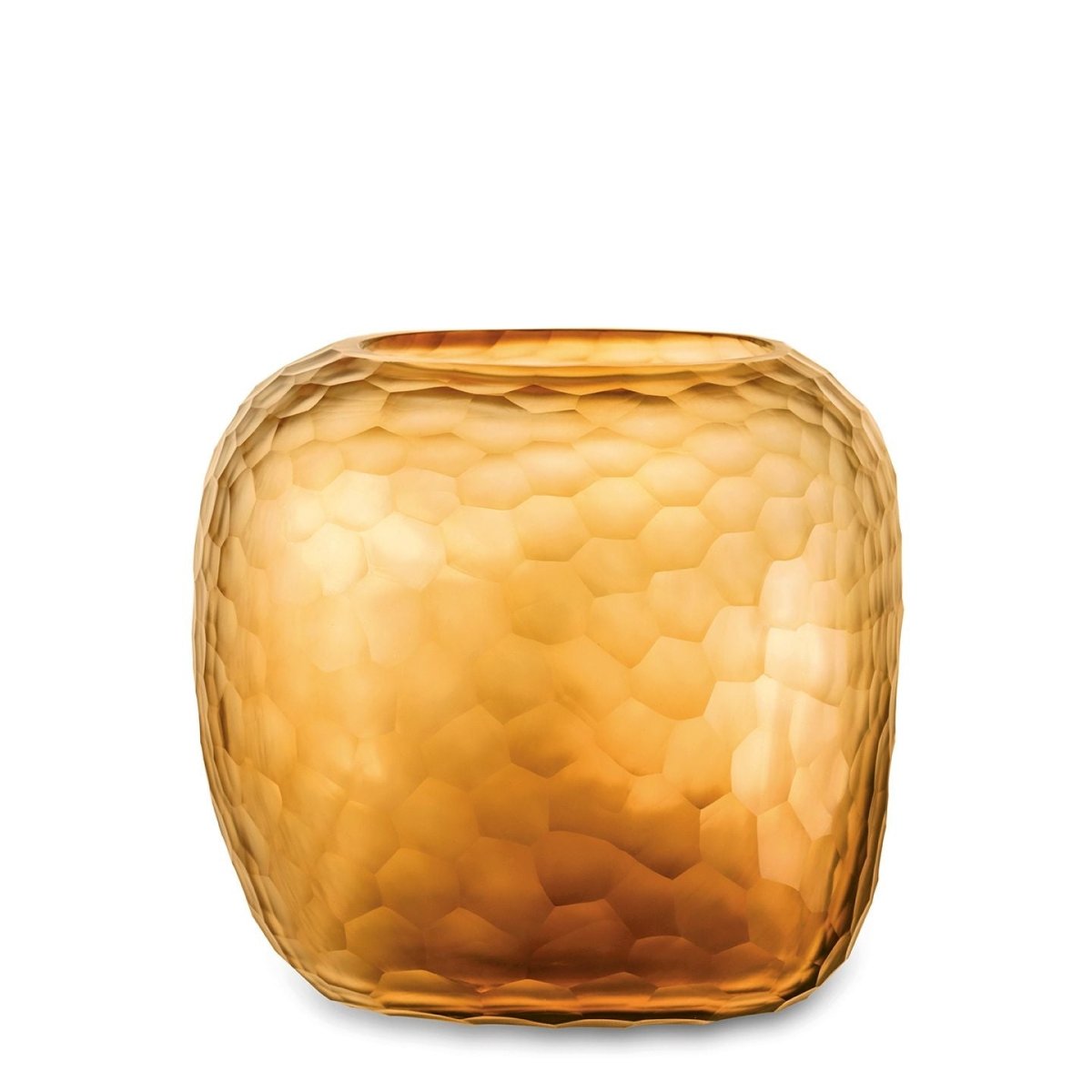 Vaas Somba L | Clear/Gold - NU PUUR & GROEN