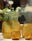 Vaas Somba L | Clear/Gold - NU PUUR & GROEN
