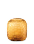 Vaas Somba M | Clear/Gold - NU PUUR & GROEN